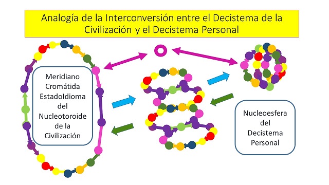 Cromatidación (21).jpg